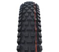SCHWALBE Plášť ALBERT TRAIL PRO (63-622) 29x2.50 Evolution 67EPI Radial 1180g Černý TLR Ultra Soft