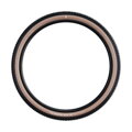 SCHWALBE Plášť RICK XC PRO (62-622) 29x2.40 Evolution 67EPI 760g Transparent TLR Speed